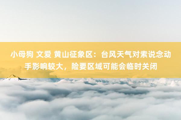 小母狗 文爱 黄山征象区：台风天气对索说念动手影响较大，险要区域可能会临时关闭