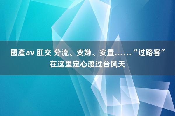 國產av 肛交 分流、变嫌、安置……“过路客”在这里定心渡过台风天