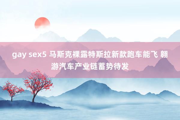 gay sex5 马斯克裸露特斯拉新款跑车能飞 翱游汽车产业链蓄势待发