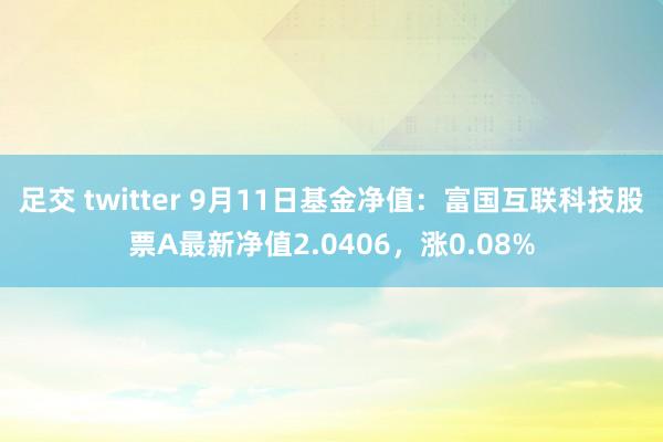 足交 twitter 9月11日基金净值：富国互联科技股票A最新净值2.0406，涨0.08%