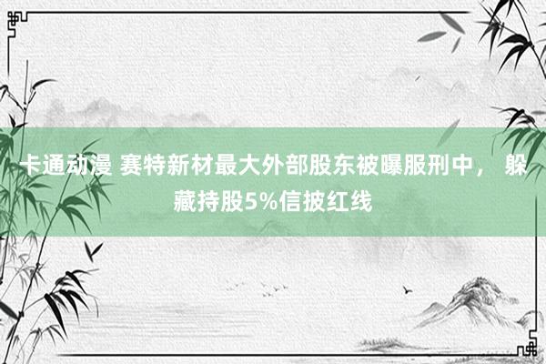 卡通动漫 赛特新材最大外部股东被曝服刑中， 躲藏持股5%信披红线