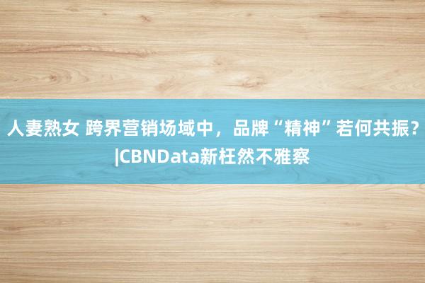 人妻熟女 跨界营销场域中，品牌“精神”若何共振？|CBNData新枉然不雅察