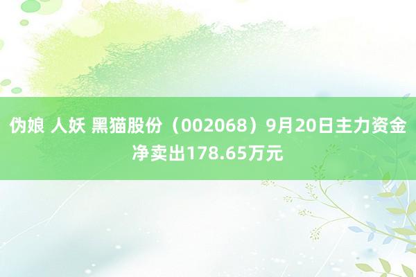 伪娘 人妖 黑猫股份（002068）9月20日主力资金净卖出178.65万元