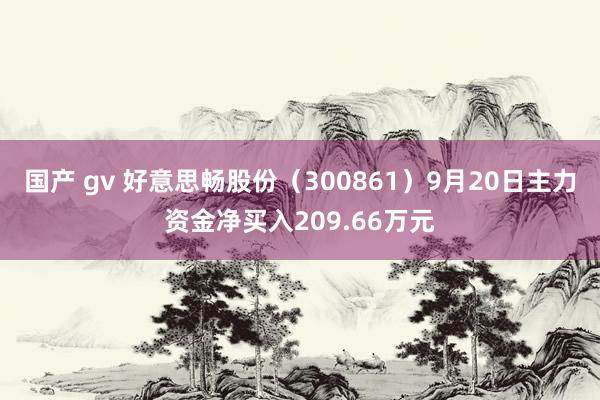 国产 gv 好意思畅股份（300861）9月20日主力资金净买入209.66万元