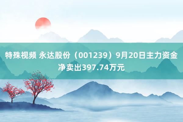 特殊视频 永达股份（001239）9月20日主力资金净卖出397.74万元