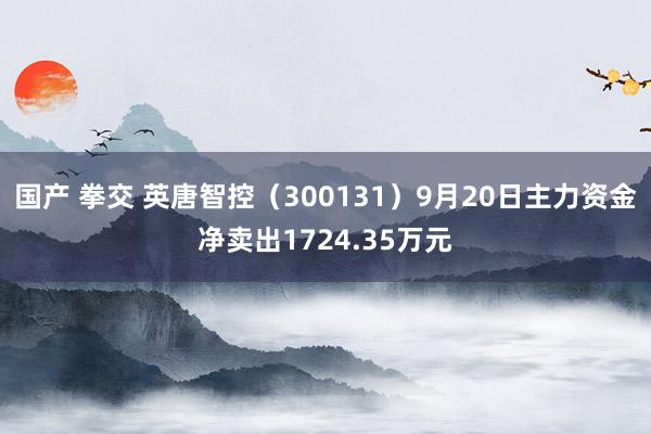 国产 拳交 英唐智控（300131）9月20日主力资金净卖出1724.35万元