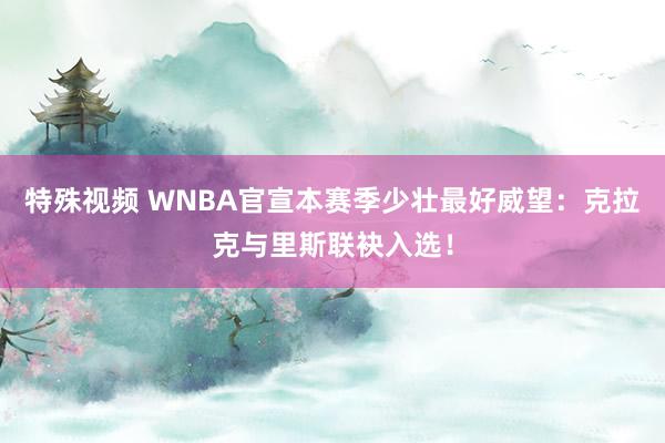 特殊视频 WNBA官宣本赛季少壮最好威望：克拉克与里斯联袂入选！