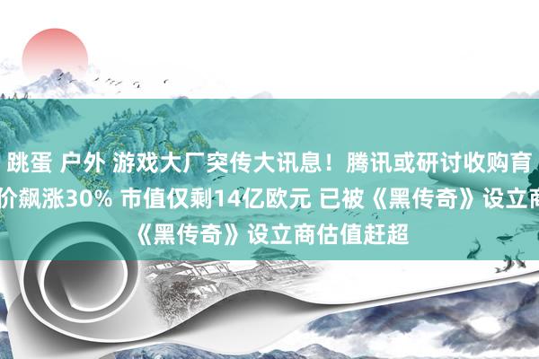 跳蛋 户外 游戏大厂突传大讯息！腾讯或研讨收购育碧 育碧股价飙涨30% 市值仅剩14亿欧元 已被《黑传奇》设立商估值赶超