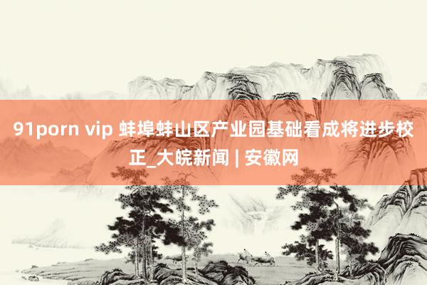 91porn vip 蚌埠蚌山区产业园基础看成将进步校正_大皖新闻 | 安徽网