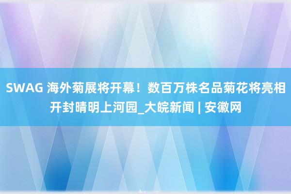 SWAG 海外菊展将开幕！数百万株名品菊花将亮相开封晴明上河园_大皖新闻 | 安徽网