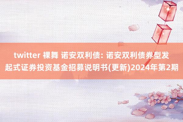 twitter 裸舞 诺安双利债: 诺安双利债券型发起式证券投资基金招募说明书(更新)2024年第2期