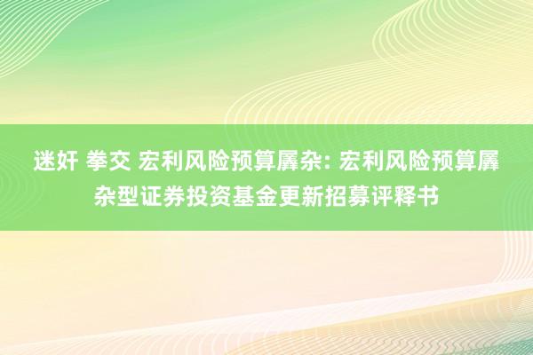 迷奸 拳交 宏利风险预算羼杂: 宏利风险预算羼杂型证券投资基金更新招募评释书