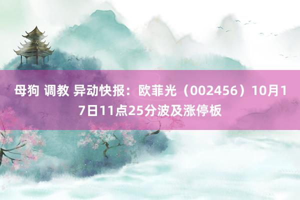 母狗 调教 异动快报：欧菲光（002456）10月17日11点25分波及涨停板