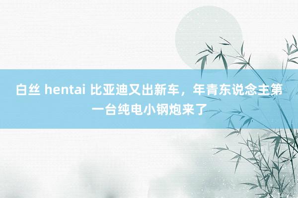 白丝 hentai 比亚迪又出新车，年青东说念主第一台纯电小钢炮来了