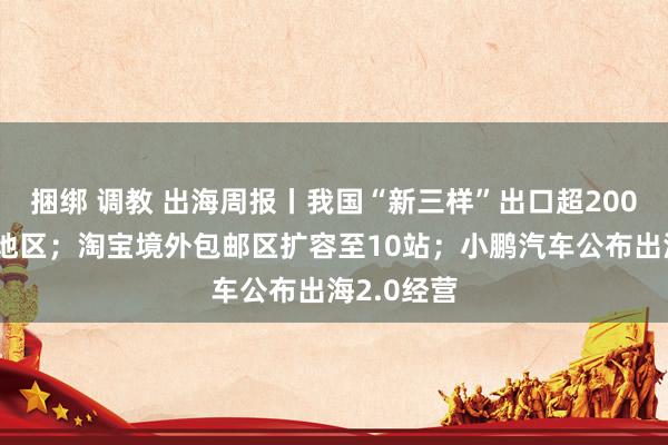 捆绑 调教 出海周报丨我国“新三样”出口超200个国度和地区；淘宝境外包邮区扩容至10站；小鹏汽车公布出海2.0经营