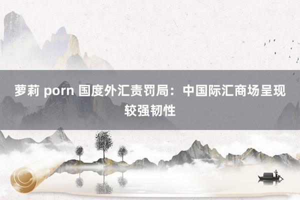 萝莉 porn 国度外汇责罚局：中国际汇商场呈现较强韧性