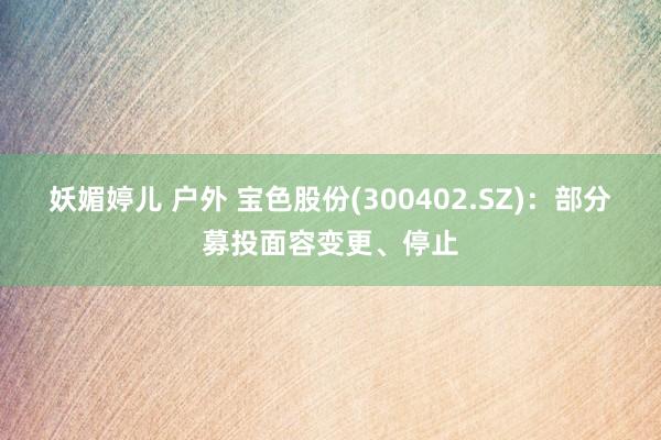 妖媚婷儿 户外 宝色股份(300402.SZ)：部分募投面容变更、停止