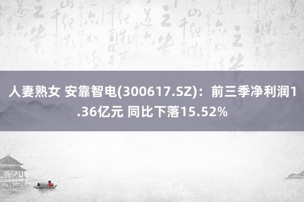 人妻熟女 安靠智电(300617.SZ)：前三季净利润1.36亿元 同比下落15.52%