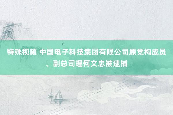 特殊视频 中国电子科技集团有限公司原党构成员、副总司理何文忠被逮捕