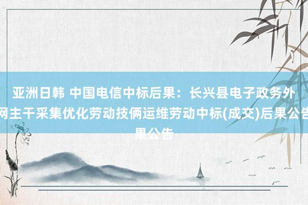 亚洲日韩 中国电信中标后果：长兴县电子政务外网主干采集优化劳动技俩运维劳动中标(成交)后果公告