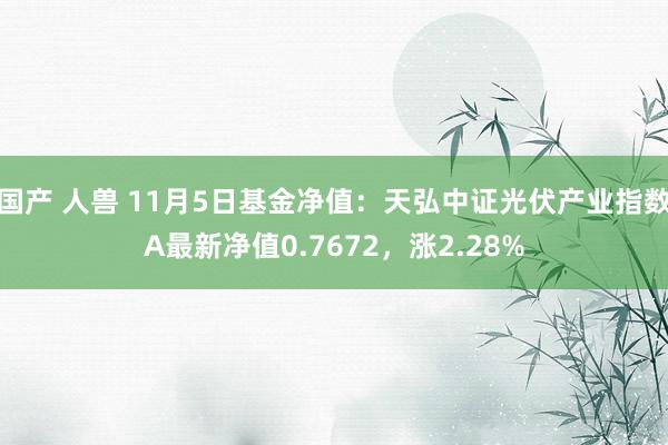 国产 人兽 11月5日基金净值：天弘中证光伏产业指数A最新净值0.7672，涨2.28%