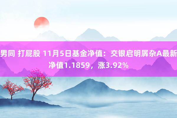 男同 打屁股 11月5日基金净值：交银启明羼杂A最新净值1.1859，涨3.92%