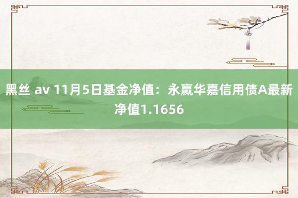 黑丝 av 11月5日基金净值：永赢华嘉信用债A最新净值1.1656