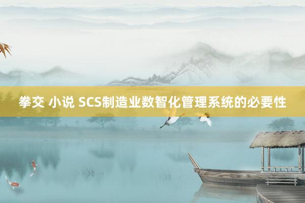 拳交 小说 SCS制造业数智化管理系统的必要性