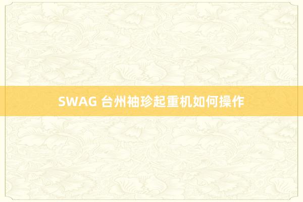 SWAG 台州袖珍起重机如何操作