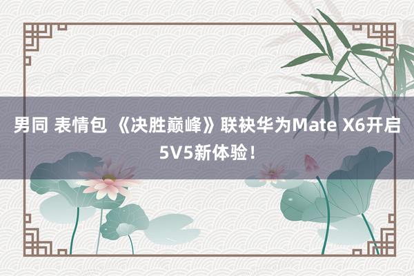 男同 表情包 《决胜巅峰》联袂华为Mate X6开启5V5新体验！