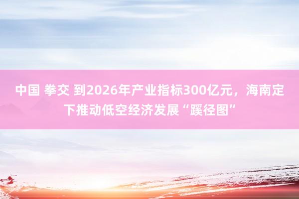 中国 拳交 到2026年产业指标300亿元，海南定下推动低空经济发展“蹊径图”