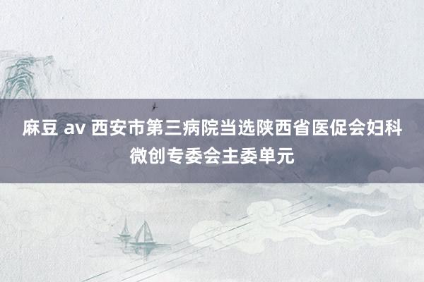 麻豆 av 西安市第三病院当选陕西省医促会妇科微创专委会主委单元