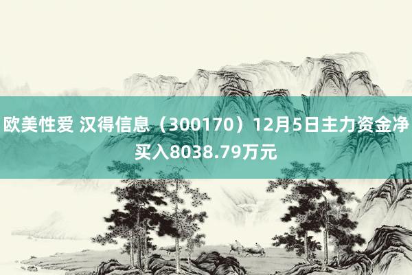 欧美性爱 汉得信息（300170）12月5日主力资金净买入8038.79万元