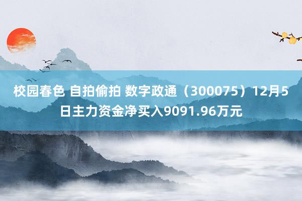 校园春色 自拍偷拍 数字政通（300075）12月5日主力资金净买入9091.96万元