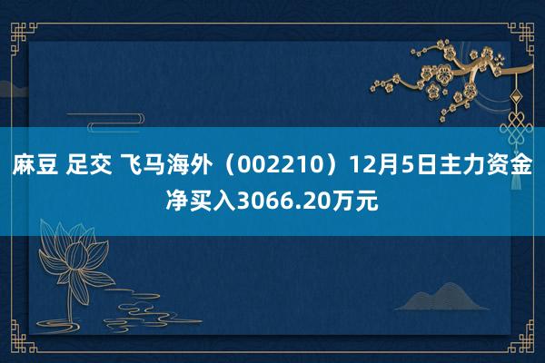 麻豆 足交 飞马海外（002210）12月5日主力资金净买入3066.20万元