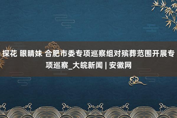 探花 眼睛妹 合肥市委专项巡察组对殡葬范围开展专项巡察_大皖新闻 | 安徽网