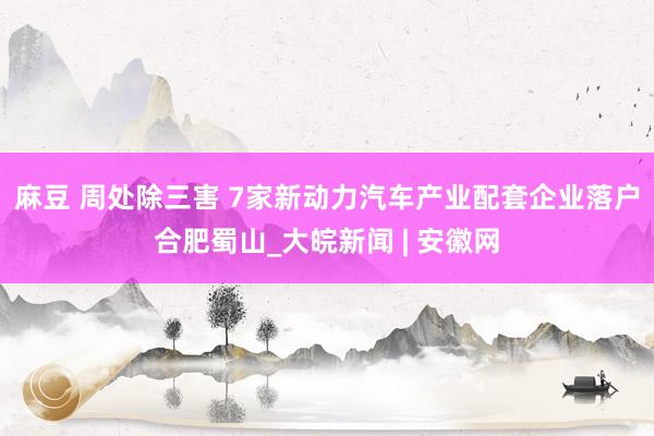 麻豆 周处除三害 7家新动力汽车产业配套企业落户合肥蜀山_大皖新闻 | 安徽网