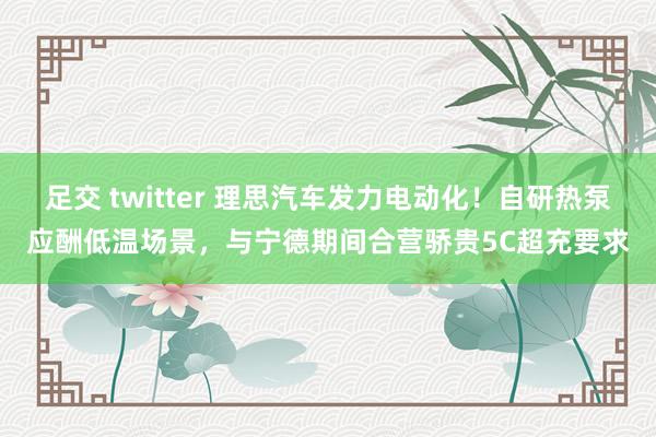 足交 twitter 理思汽车发力电动化！自研热泵应酬低温场景，与宁德期间合营骄贵5C超充要求