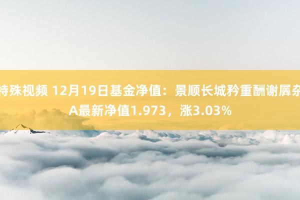 特殊视频 12月19日基金净值：景顺长城矜重酬谢羼杂A最新净值1.973，涨3.03%