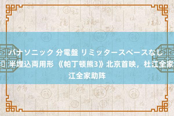 パナソニック 分電盤 リミッタースペースなし 露出・半埋込両用形 《帕丁顿熊3》北京首映，杜江全家助阵