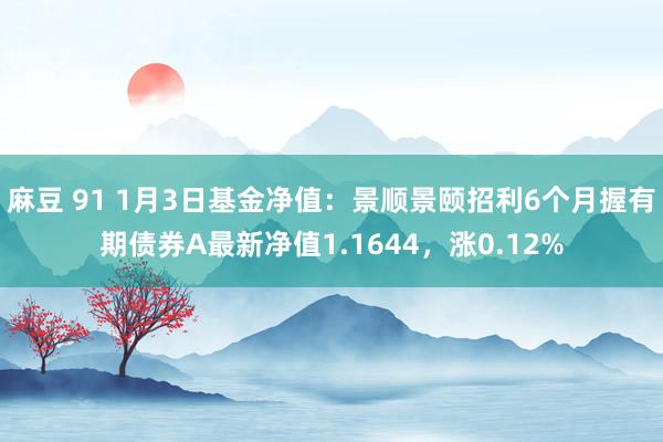 麻豆 91 1月3日基金净值：景顺景颐招利6个月握有期债券A最新净值1.1644，涨0.12%