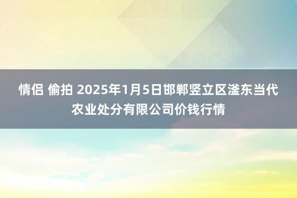 情侣 偷拍 2025年1月5日邯郸竖立区滏东当代农业处分有限公司价钱行情