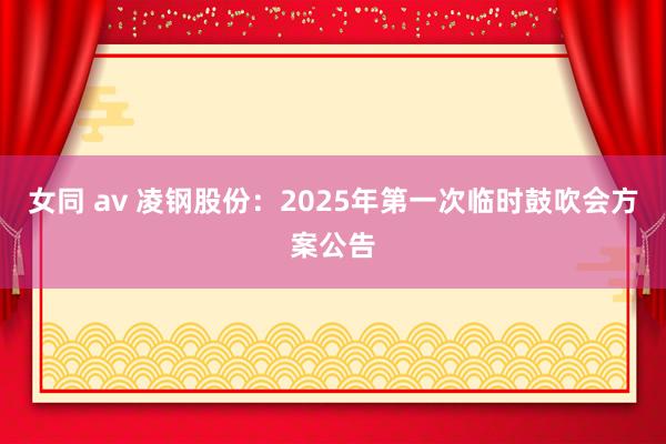 女同 av 凌钢股份：2025年第一次临时鼓吹会方案公告