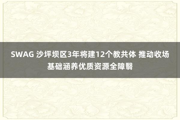 SWAG 沙坪坝区3年将建12个教共体 推动收场基础涵养优质资源全障翳