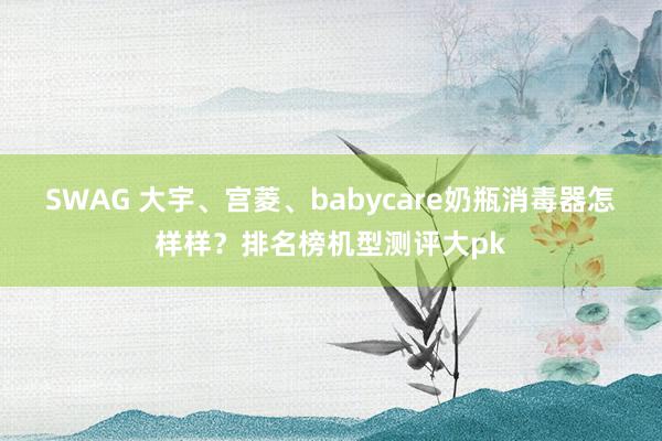 SWAG 大宇、宫菱、babycare奶瓶消毒器怎样样？排名榜机型测评大pk