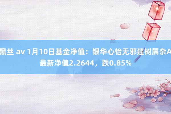 黑丝 av 1月10日基金净值：银华心怡无邪建树羼杂A最新净值2.2644，跌0.85%