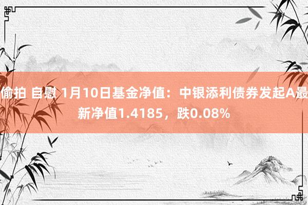 偷拍 自慰 1月10日基金净值：中银添利债券发起A最新净值1.4185，跌0.08%