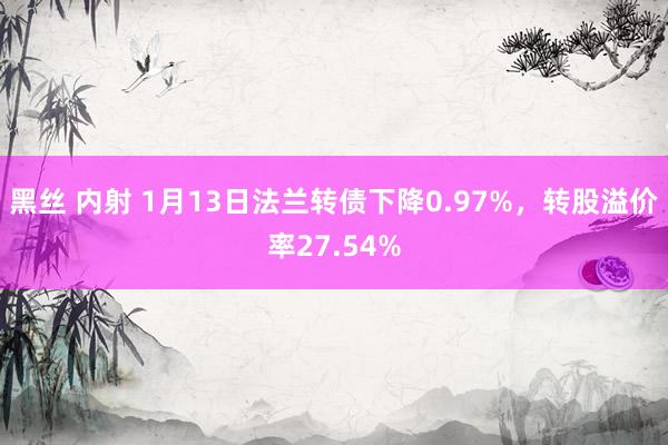 黑丝 内射 1月13日法兰转债下降0.97%，转股溢价率27.54%