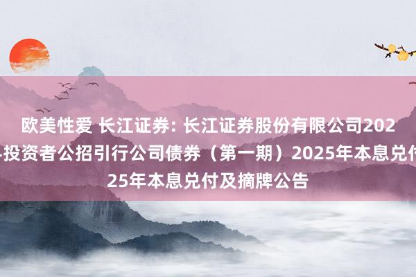 欧美性爱 长江证券: 长江证券股份有限公司2022年面向专科投资者公招引行公司债券（第一期）2025年本息兑付及摘牌公告