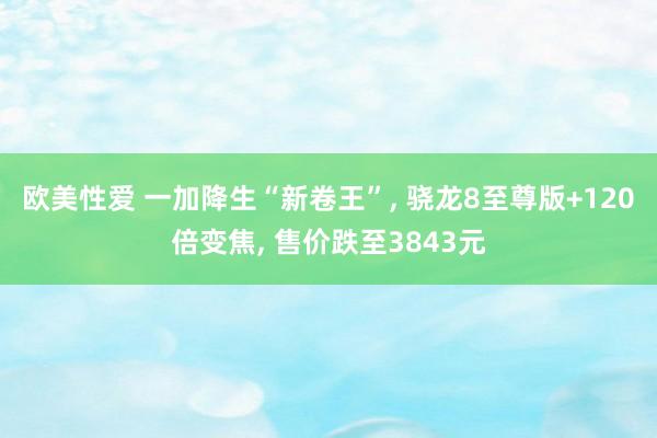 欧美性爱 一加降生“新卷王”， 骁龙8至尊版+120倍变焦， 售价跌至3843元